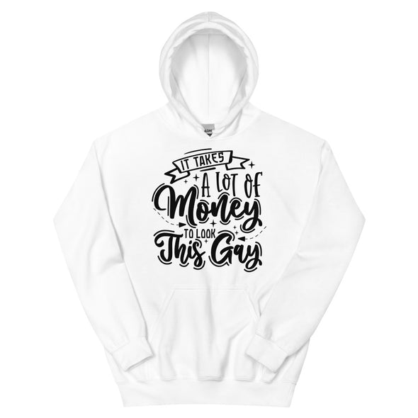 It Takes A Lot Of Money To Look This Gay -- Hoodie